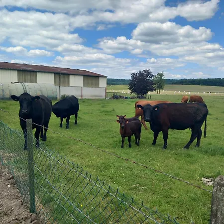 Relais De La Mothe La Vrécourt