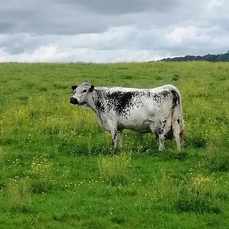 Relais De La Mothe La 3* Vrécourt