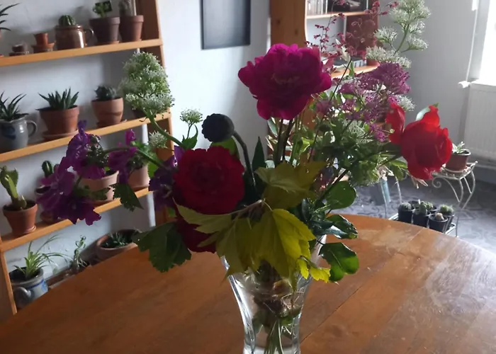 לינה וארוחת בוקר Relais De La Mothe La 3*