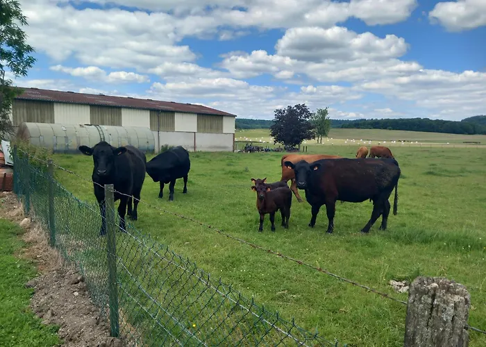 Relais De La Mothe La Vrécourt