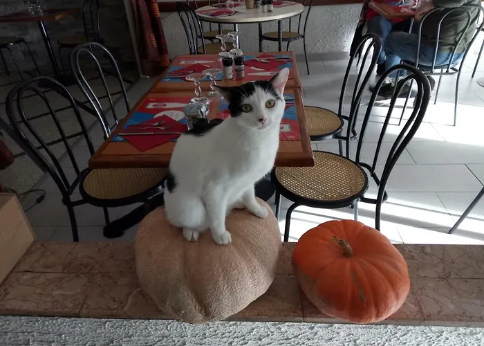 Relais De La Mothe La 3*